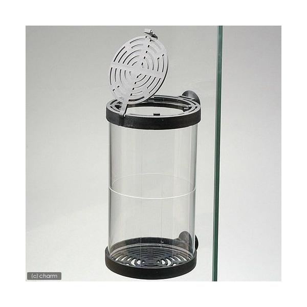 AY[@~jtBbVnEX@ӂUDT×PP@uP[X