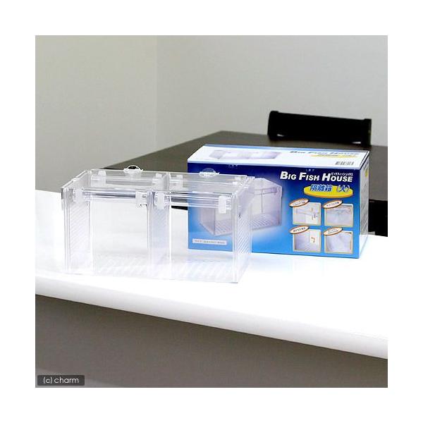 AY[@rbOtBbVnEX@uP[X@RODW×PSDT×PUDT