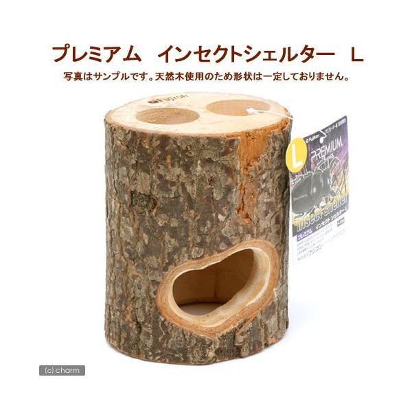 tWR@v~A@CZNgVF^[@k@@JugV@NK^@̂ڂ؁@CAEgpi@GTM