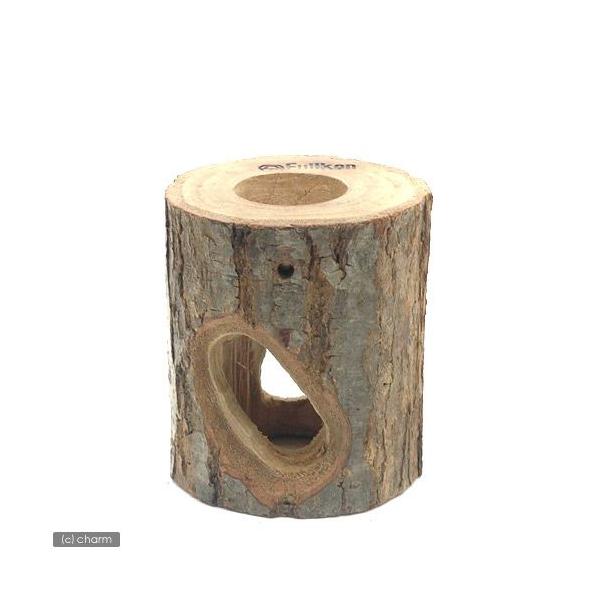 tWR@v~A@CZNgVF^[@r@@JugV@NK^@̂ڂ؁@CAEgpi@GTM