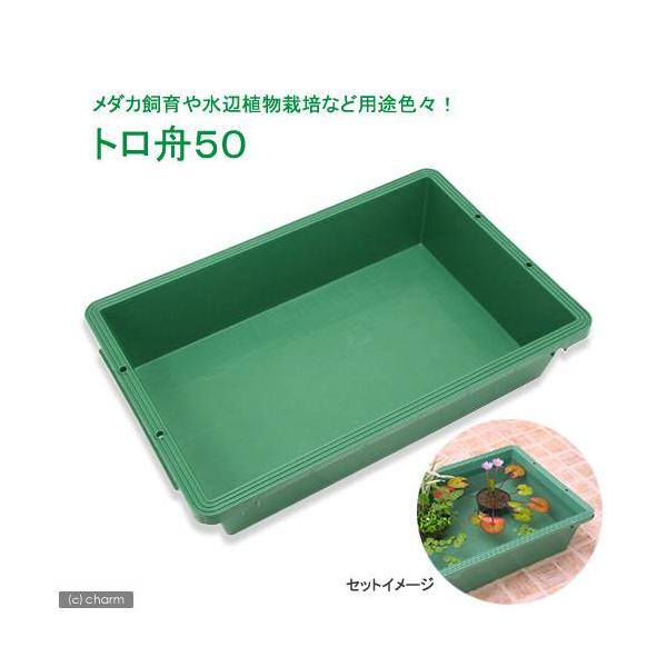 訳ありセール 格安) プラ箱 プラ舟 プラ船 トロ舟 コンテナ 野菜洗い プラスチック桶 リス プラ舟 79L R-80≪代引不可≫
