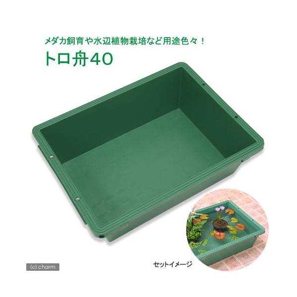 トロ舟40(幅61×奥行46.8×高さ18.5cm) お一人様 トロ舟40(幅61×奥行46.8×高さ18.5cm) お一人様