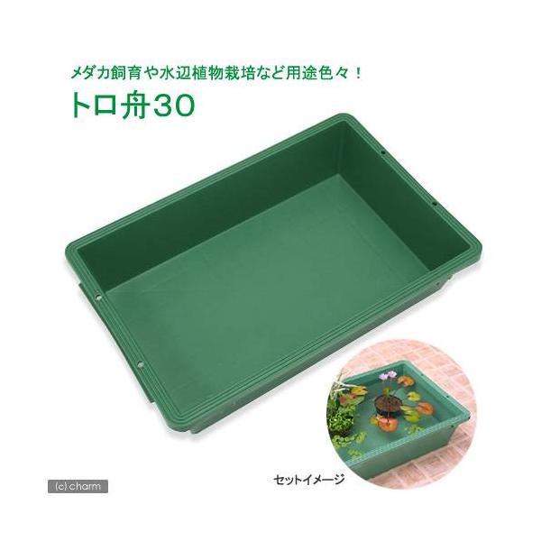 トロ舟 水槽 ペットの人気商品 通販 価格比較 価格 Com