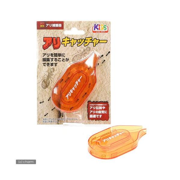 メーカー：日本動物薬品 昆虫用品1　器具　その他　雑貨　インテリア　アリ伝説　自由研究　bnr07siikuset　_insect　4975677028137　jyuknku_2015　nichidou_SV0723　kansatsu_se...