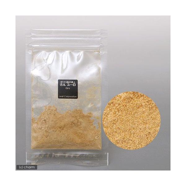 ΂Ă肠̒Bl@񃆁[@܃^Cv@T@oNeA@Mы@Ϗ܋