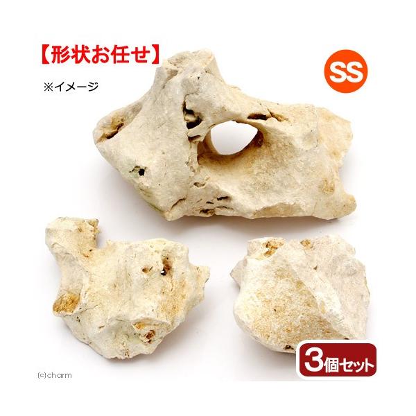 `󂨔C@΃TS@rrTCYiPO`PTj@R@ANAE@CAEgfށ@_J@AtJVNbh@C