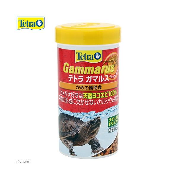 eg@K}X@QT@঒ށ@J@a@GT@Kp@JVE@h{⏕@RGr@