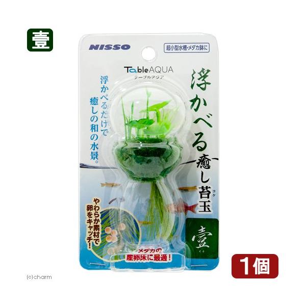 jb\[@e[uANA@ׂۋʁ@iC`j@lH