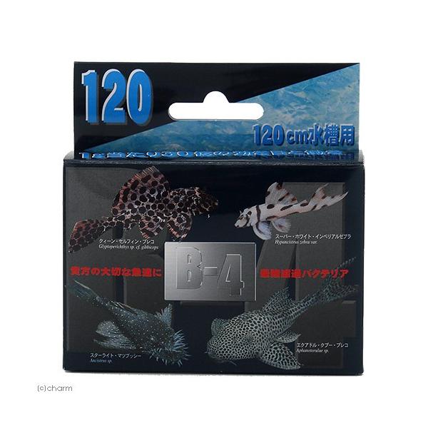 a|S@PQOioNeA܁j@S@oNeA@Mы@Ϗ܋