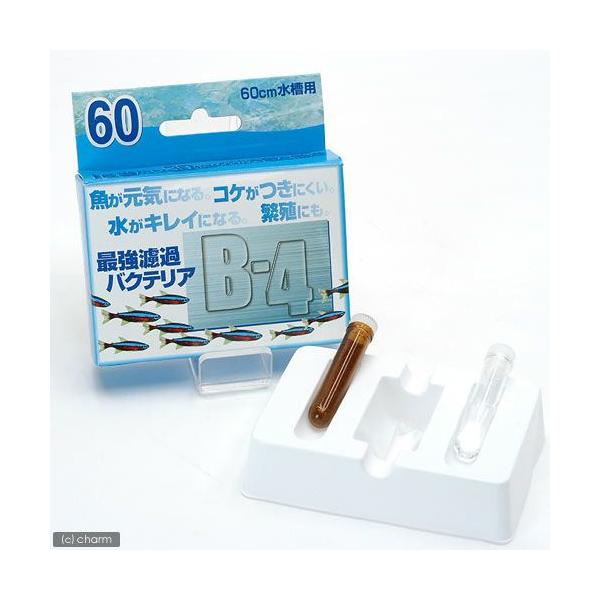 a|S@UOioNeA܁j@P@oNeA@Mы@Ϗ܋