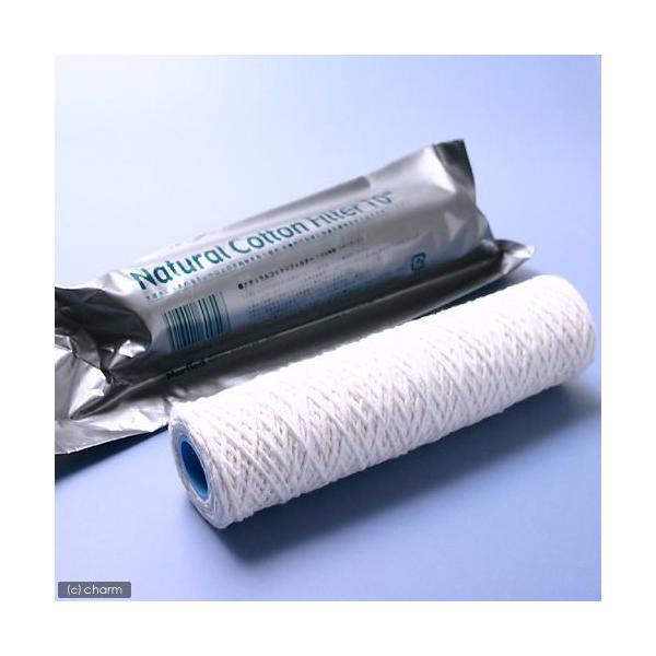 }[tB[h@i`RbgtB^[@POC`@X^_[hENVbN^lIp