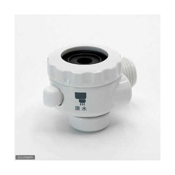 }[tB[h@}`RbN̂݁iR^Wpj