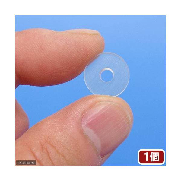 `hlbg@bnQ@M[^[ppbL@^@P