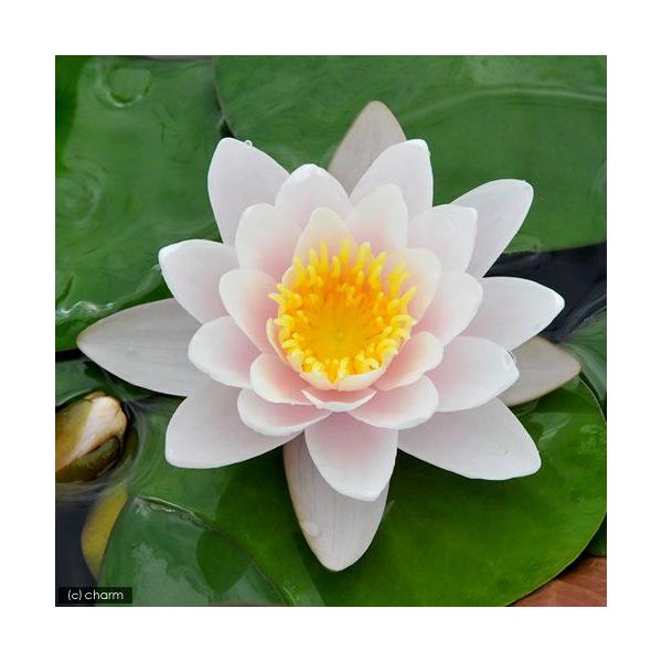 irIg[vj@@ѐ@iXCjij@}AZA@JlA@l@b@iP|bgjixԁj