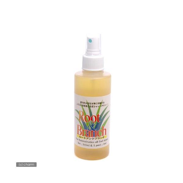 [gAhu`iXv[^Cvj@Wp@PWO