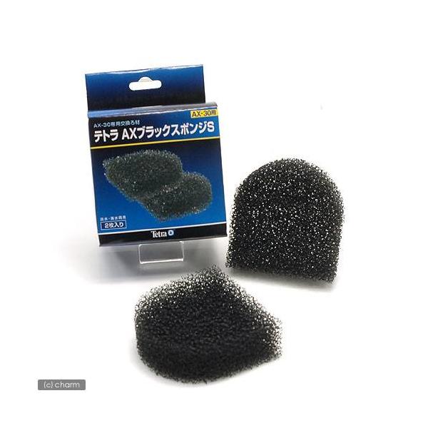 �e�g���@�`�w�u���b�N�X�|���W�r