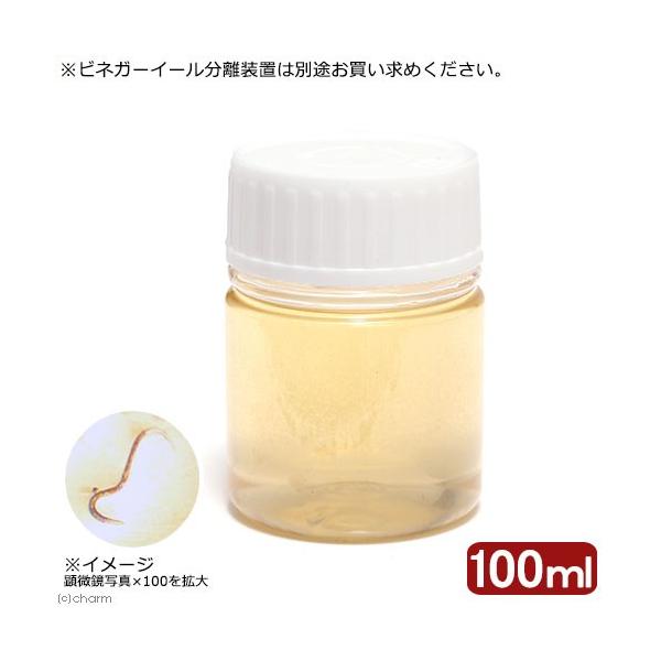 iajrlK[C[@POOiPj@a