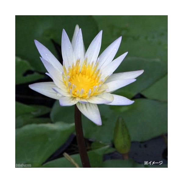 irIg[vj@@Mѐ@iXCjiFj@h[xiP|bgjiJSjixԁj