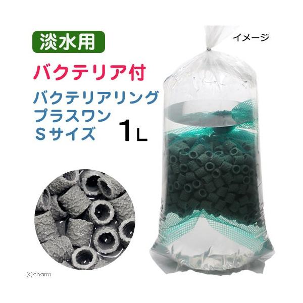 iMыjoNeAO@vX@rTCY@PbgioNeAtj@kCEBq֗vۉ