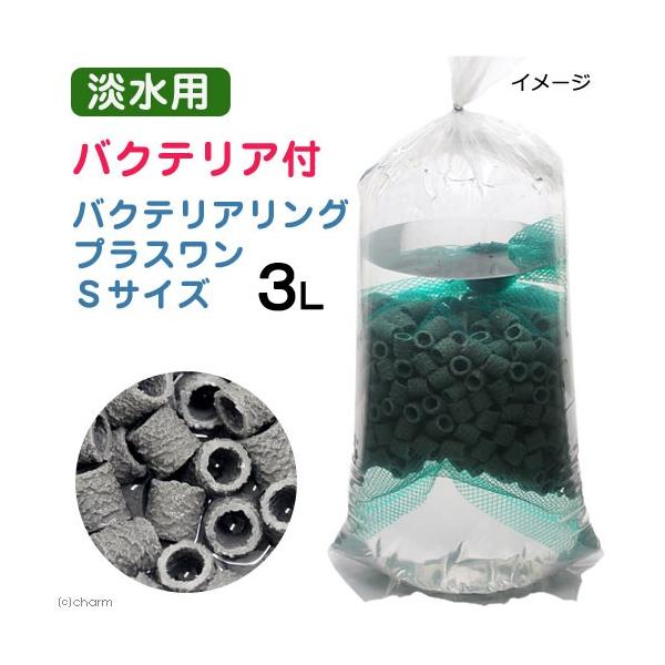 iMыjoNeAO@vX@rTCY@RbgioNeAtj@kCEBq֗vۉ