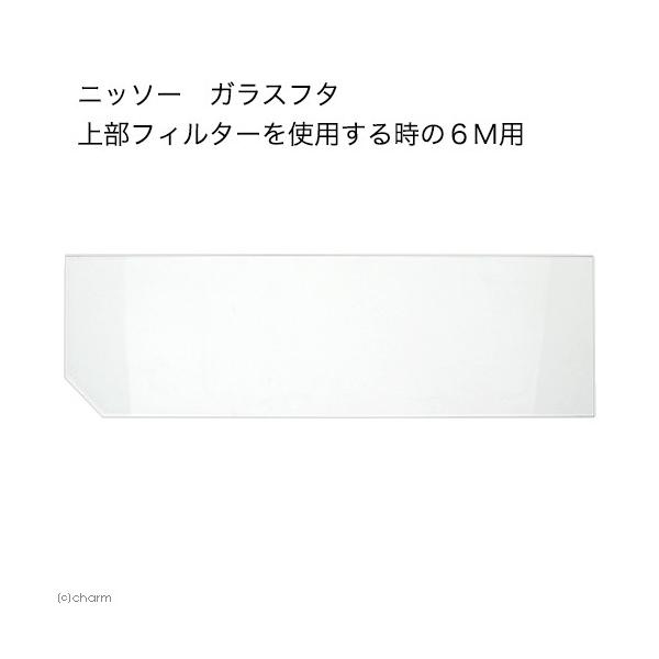 jb\[@KXt^@㕔tB^[gp鎞̂UlpiTQDR×sPTDRj