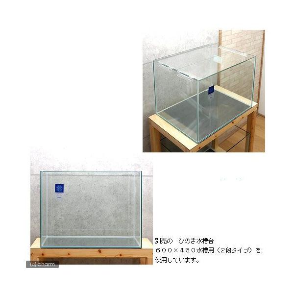 同梱不可 中型便手数料 コトブキ工芸 Kotobuki レグラスフラット ｆ ６００ｌ ６０ ４５ ４５ｃｍ ６０ｃｍ水槽 単体 才数１７０ Buyee Buyee 日本の通販商品 オークションの代理入札 代理購入