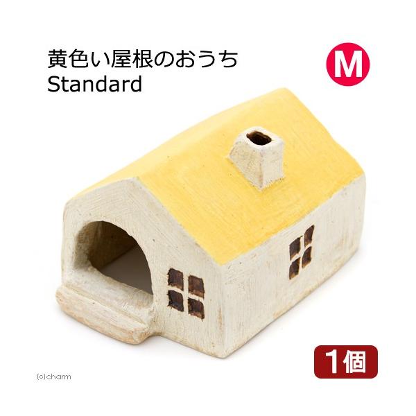 黄色い屋根のおうち　Ｓｔａｎｄａｒｄ　Ｍ　爬虫類　両生類