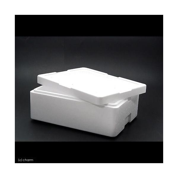 horei_happo　アクアリウム用品　_daily　_gardening　金魚・メダカ　アクア用品　発泡　スチロール　箱　水合わせ　保温　保冷　happo_stiroll0421　etto_happo　熱帯魚・エビ他　happoseri...