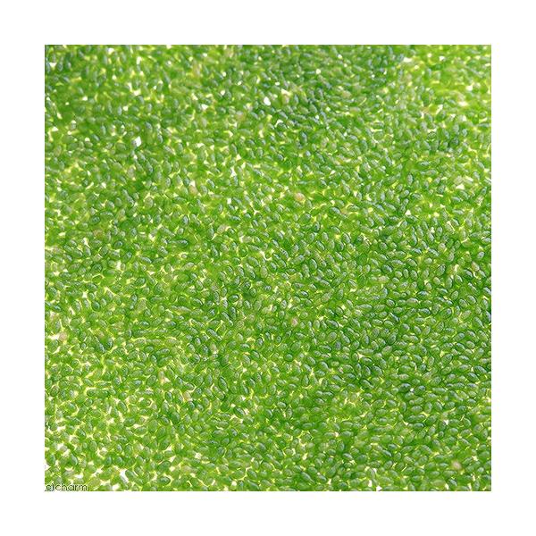 ij_JԓVRt[h@~WRELNTi_jiRܕj