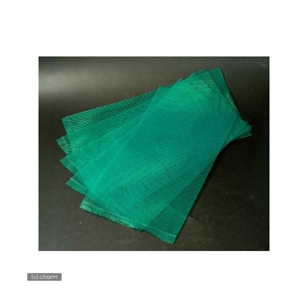 メーカー：(株)リーフ Leaf Corp アクアリウム用品　naisyoku_syukei　hwlist　アクア用品　水槽用アクセサリ　リシアネット・石・活着素材　Leaf　Corp　グリーンネット　５枚入り　器具　レイアウト用品　lea...