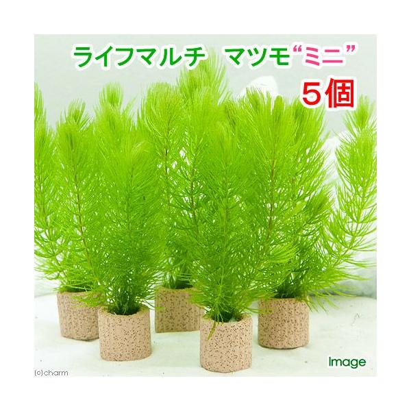 ijCt}`ij}c@~ji_jiTj_J@@򉻁@Y