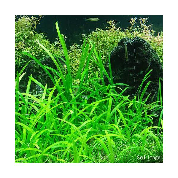 ijsO~[`F[TW^Aitji_jiTj