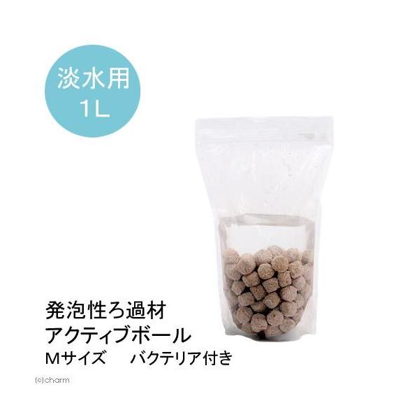 iMыjAߍށ@ANeBu{[@lTCY@PbgioNeAtj@kCEBq֗vۉ