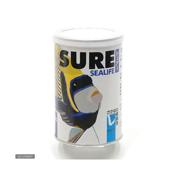 }ebN@V[Ct@VA[@k@PTO@C@a