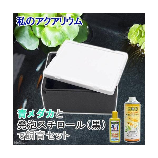 i߂jij̏ȃANAE@_JƔAX`[ijŎZbg@t@{Bl@llR_