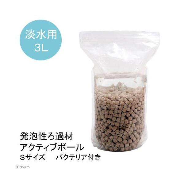 iMыjAߍށ@ANeBu{[@rTCY@RkioNeAtj@kCEBq֗vۉ