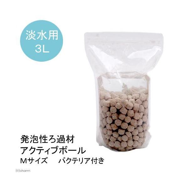 iMыjAߍށ@ANeBu{[@lTCY@RbgioNeAtj@kCEBq֗vۉ