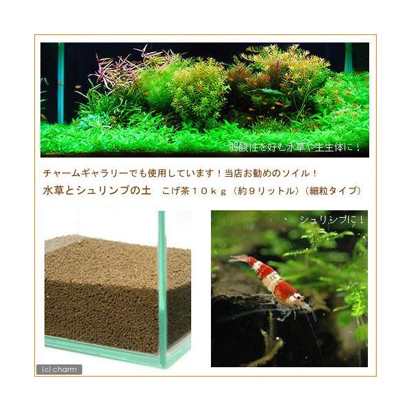 水草とシュリンプの土 こげ茶 約１０リットル 細粒タイプ 熱帯魚 用品 ソイル チャーム Charm ヤフー店 通販 Yahoo ショッピング