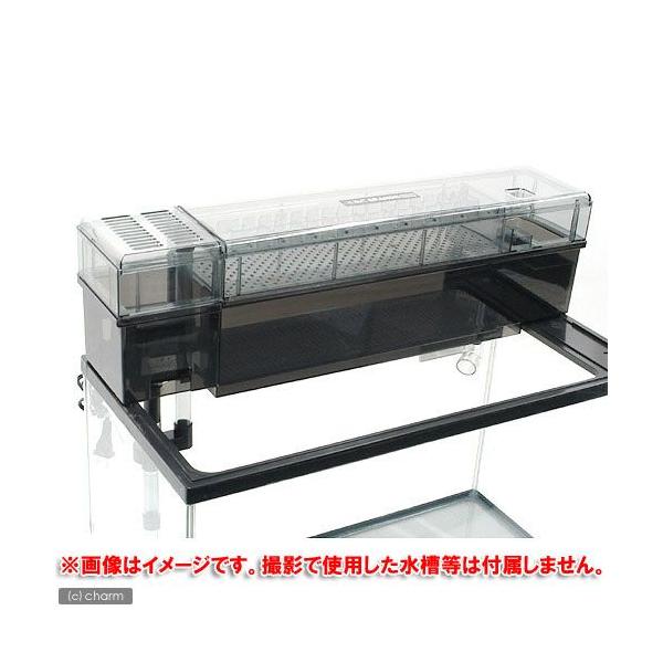 ｇｅｘ グランデカスタム６００ ６０ｃｍ水槽用上部フィルター ジェックス お一人様２点限り 関東当日便 Buyee Buyee 日本の通販商品 オークションの代理入札 代理購入