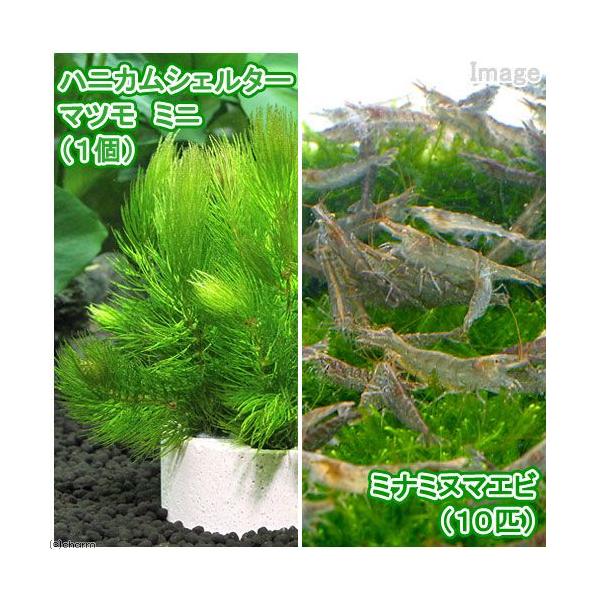 iGrjijnjJVF^[}c@~ji_jiPj{~i~k}GriPOCj