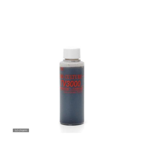 oCIJ`[@suROOO@POO@WECpoNeA@oNeA@Mы@Ϗ܋