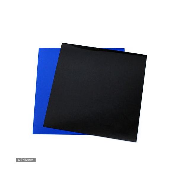 qf|ROp@vȉrobNXN[@QWDR×QVDT@