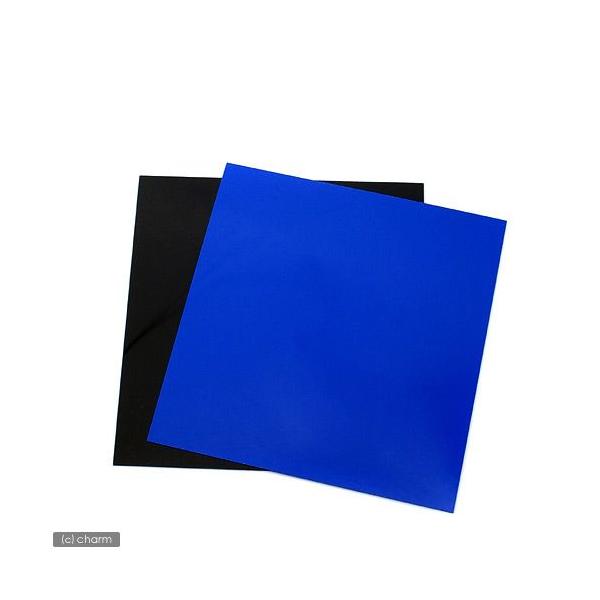 qf|ROp@vȉrobNXN[@QWDR×QVDT@@XJCu[