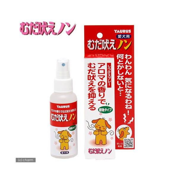 AEgbgi@g[X@ނimp@POO@@@󂠂