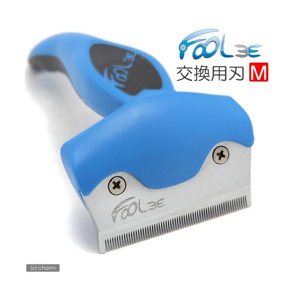 AEgbgi@t[[@pn@l@󂠂