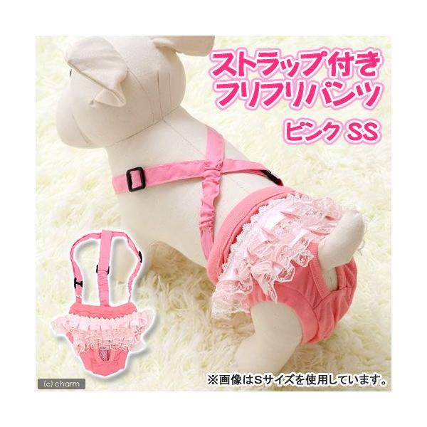 AEgbgi@C{[@Xgbvt@ttpc@sN@rr@@EFA@Tj^[pc@炵@ybg@󂠂