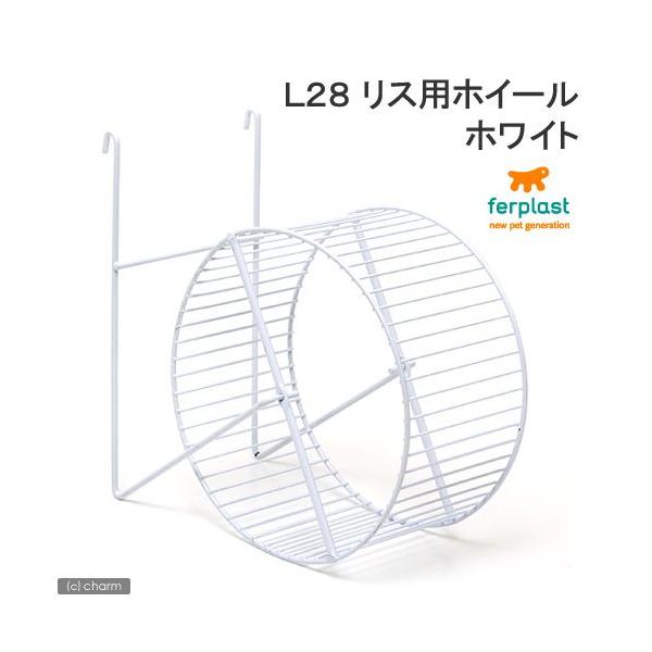 t@[vXg@kQW@XpzC[@zCg@nX^[@񂵎