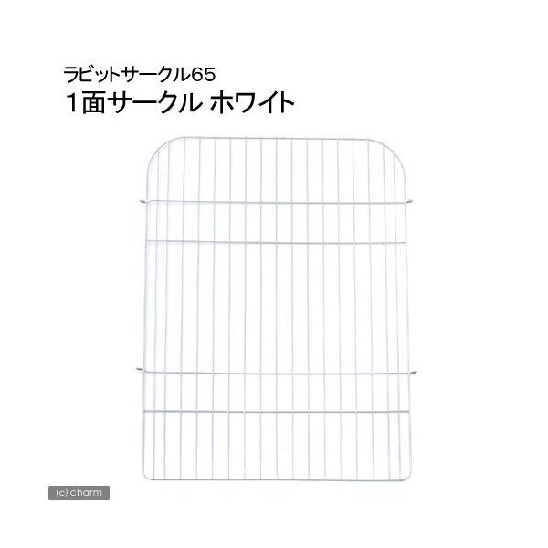 fdw@rbgT[N@gUT@_@PʁizCgjVQUPS@@P[W@WFbNX