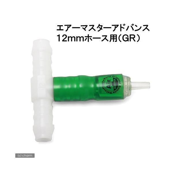 GA[}X^[AhoX@aPQz[Xpifqj