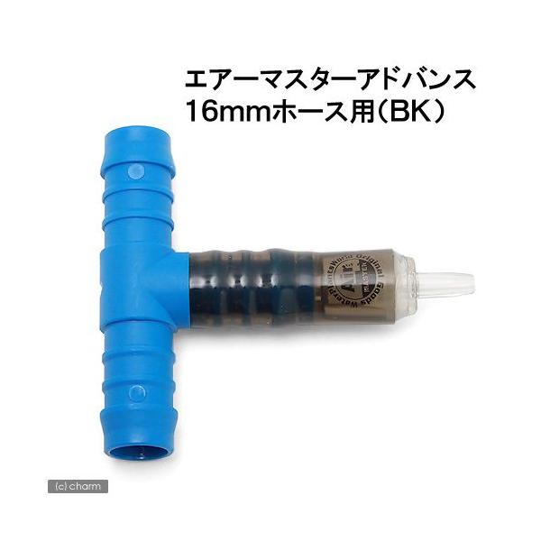 GA[}X^[AhoX@aPUz[Xpiajj